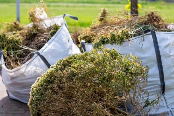 Trusted Princeton, KY Junk Removal Services Experts